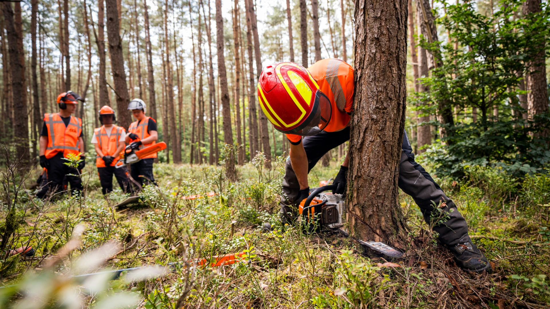 kettingzaag cursus 10